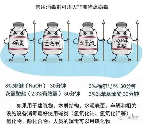 非洲猪瘟最新爆料,揭秘病毒传播与防控策略 第3张 非洲猪瘟最新爆料,揭秘病毒传播与防控策略 第3张