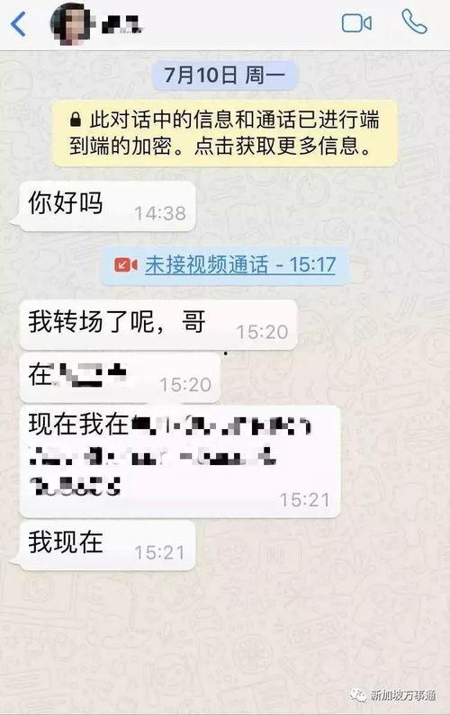 爆料新加坡花场视频大全,揭秘花场魅力瞬间  第3张
