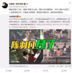 王铭轩爆料虎子视频播放,王铭轩揭露虎子视频播放背后真相  第3张