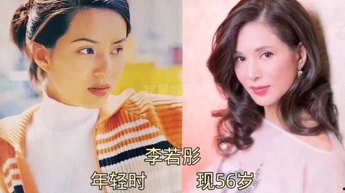 娱乐圈大爆料刘些宁,揭秘明星背后的真实故事  第3张