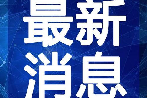 独家爆料逃税案例最新视频,最新逃税案例视频曝光，涉案细节令人震惊